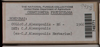 Image Associated With the Occurence